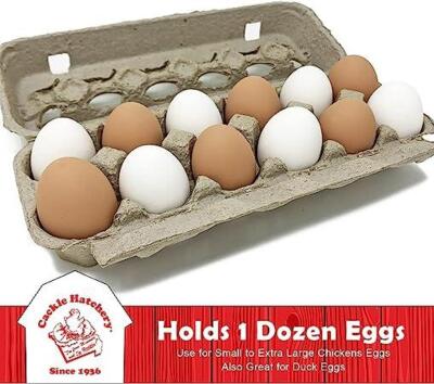 DESCRIPTION: (6) BAGS OF (20) EGG CARTON BRAND/MODEL: OKUNA OUTPOST #LJ-DQXSE-051421-04-1 RETAIL$: $15.99 EA QTY: 6