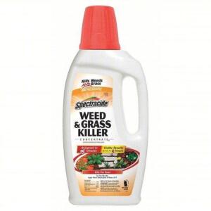 DESCRIPTION: (2) WEED AND GRASS KILLER CONCENTRATE BRAND/MODEL: SPECTRACIDE #52LA86 SIZE: 32 OZ RETAIL$: $31.18 EA QTY: 2