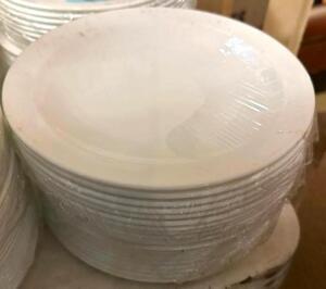 (60) 7" CHINA PLATES