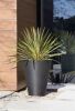 DESCRIPTION: (1) OUTDOOR PLANT POT BRAND/MODEL: VERADEK INFORMATION: BLACK QTY: 1