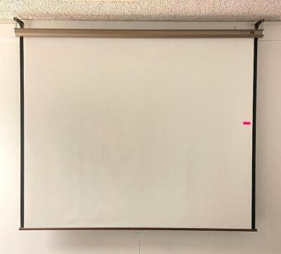 DESCRIPTION 8' X 7' PULL-DOWN PROJECTION SCREEN LOCATION COMPUTER SERVER ROOM QUANTITY 1