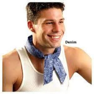 DESCRIPTION: (2) PACKS OF (10) COOLING HEADBAND BRAND/MODEL: OCCUNOMIX #954018 RETAIL$: $2.15 PER BANDANA QTY: 2