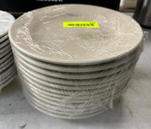 (12) 9 1/2" CHINA PLATES