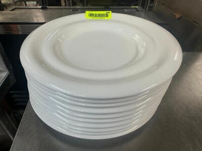 (10) 11" CHINA PLATES