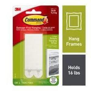 DESCRIPTION: (1) CASES OF (24) PICTURE HANGING STRIPS BRAND/MODEL: 3M COMMAND #17206-ES RETAIL$: $34.89 EA QTY: 1