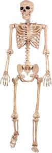 Crazy Bonez Pose-N-Stay Skeleton