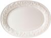 GIBSON HOME FRUITFUL 18.75" OVAL PLATTER RETAILS FOR $20.99