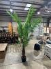 Artificial Palm Tree in Pot - 4