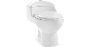 CHATEAU ONE PIECE DUAL FLUSH ELONGATED TOILET