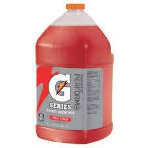 DESCRIPTION: (2) SPORTS DRINK MIX LIQUID CONCENTRATE BRAND/MODEL: GATORADE INFORMATION: FRUIT PUNCH SIZE: 1 GALLON RETAIL$: $17.17 EA QTY: 2