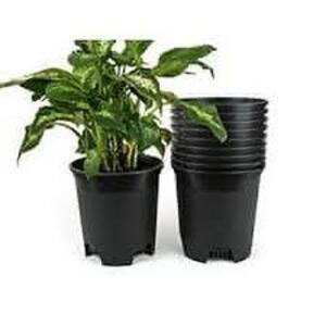 DESCRIPTION: (10) FLOWER POTS BRAND/MODEL: HOME AND GARDEN INFORMATION: NAVY BLUE SIZE: 1.5 GALLON RETAIL$: $30.00 EA QTY: 10