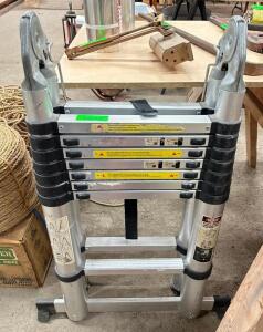 DESCRIPTION: TELESCOPIC LADDER QTY: 1