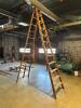 12 FT. LADDER - 2