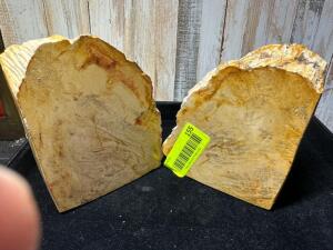 PETRIFIED WOOD BOOK ENDS