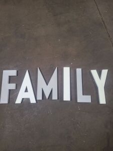 DESCRIPTION: (2) SETS OF LETTERS THAT SPELL OUT FAMILYQTY: 2