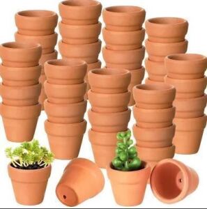 DESCRIPTION: (1) CASE OF (40) MINI POTS QTY: 1