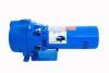 DESCRIPTION: (1) IRRIGATION SURFACE WATER WELL PUMP BRAND/MODEL: GOULDS WATER TECH #GT073TE INFORMATION: BLUE SIZE: 3/4 HP RETAIL$: $1045.00 EA QTY: 1