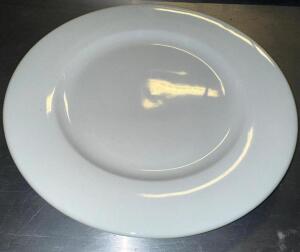 (12) 10.5" CHINA PLATES