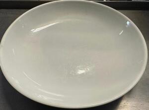 (10) 12" CHINA PLATES