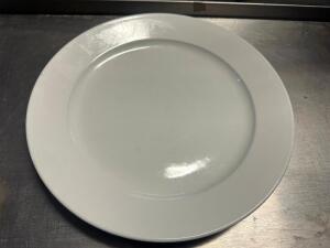 (12) 10.5" CHINA PLATES