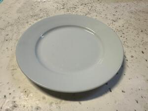 (24) 8" CHINA PLATES