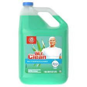 DESCRIPTION: (1) MULTI-SURFACE CLEANER BRAND/MODEL: MR CLEAN SIZE: 1 GALLON RETAIL$: $8.94 EA QTY: 1