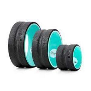 DESCRIPTION: (1) BACK AND NECK PAIN WHEEL BRAND/MODEL: CHIRP WHEEL SIZE: 3 PACK RETAIL$: $100.00 EA QTY: 1