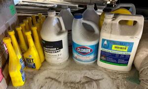 ASSORTED AUTO AND CLEANING CHEMICALS