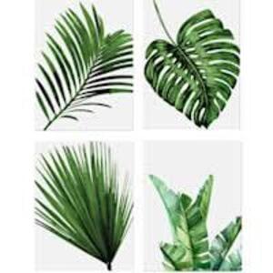 DESCRIPTION: (3) PACKS OF (4) PLANT LEAF PAINTINGS SIZE: 12" X 12" RETAIL$: $29.99 EA QTY: 3