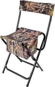 DESCRIPTION: (1) HIGH BACK CHAIR BRAND/MODEL: AMERISTEP INFORMATION: CAMO RETAIL$: $40.00 EA QTY: 1