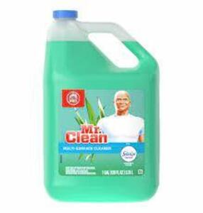 DESCRIPTION: (1) MULTI-PURPOSE CLEANER BRAND/MODEL: MR CLEAN #33NT80 SIZE: 1 GALLON RETAIL$: $17.00 EA QTY: 1