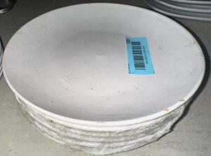 (6) 8" CHINA PLATES