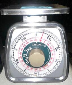 TAYLOR 5 LB. PORTION SCALE