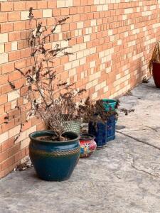 (8) ASSORTED PLANTERS AND HANGING BASKETS.