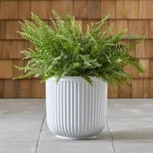 (1) FLUTED PLANTER