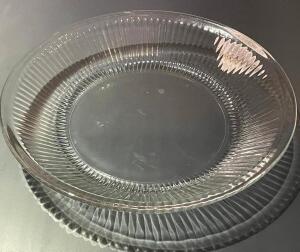 (20) - PC. GLASS DINNER PLATE SET