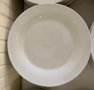 (24)- 10.5" DINNER PLATES