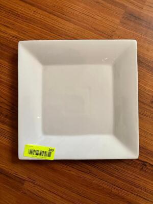 (19)- SQUARE DINNER PLATES