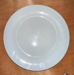 (27)- 9.5" DINNER PLATES