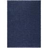 DESCRIPTION: (2) MANCHESTER SHAG AREA RUG BRAND/MODEL: MAINSTAYS/2583NAVY5X7 INFORMATION: NAVY BLUE/SOLID PLUSH RETAIL$: $55.23 EACH SIZE: 5' X 7' QTY