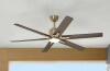 Kensgrove II 60 in. Smart Indoor/Outdoor Gold Ceiling Fan with Adjustable White with Remote Included Powered by Hubspace