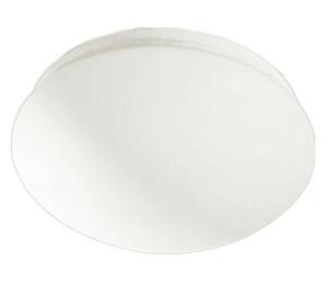 2 Light 11" Wide Flush Mount Bowl Ceiling Fixture