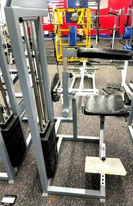 200 LB. WEIGHT STACK LOW BACK EXTENSION