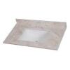 HOME DECORATORS COLLECTION 37 in. W x 22 in. D Stone Effects Vanity Top in Dune with White Sink