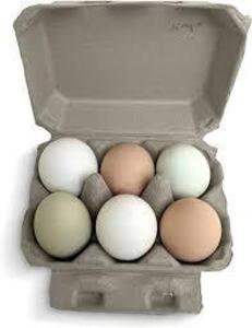 DESCRIPTION: (3) PACKS OF (20) EGG CARTONS BRAND/MODEL: FARM FRESH SIZE: HOLDS 6 EGGS PER PACK RETAIL$: $20.99 TOTAL QTY: 3