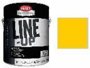 DESCRIPTION: (1) PARKING LOT STRIPING PAINT BRAND/MODEL: KRYLON #K42132920 INFORMATION: YELLOW SIZE: 1 GALLON RETAIL$: $100.00 EA QTY: 1