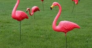 DESCRIPTION: (1) CASES OF (10) PINK FLAMINGOS RETAIL$: $160.00 EA QTY: 1