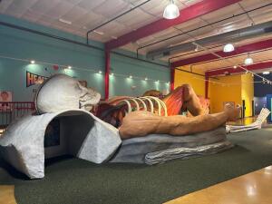 54' X 30' HUMAN SKELETON WITH INTERACTIVE STATIONS AND SLIDE