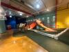 54' X 30' HUMAN SKELETON WITH INTERACTIVE STATIONS AND SLIDE - 4