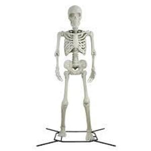 DESCRIPTION: (1) GIANT YARD SKELETON BRAND/MODEL: 2231-10442 SIZE: 10' RETAIL$: $299.99 EA QTY: 1